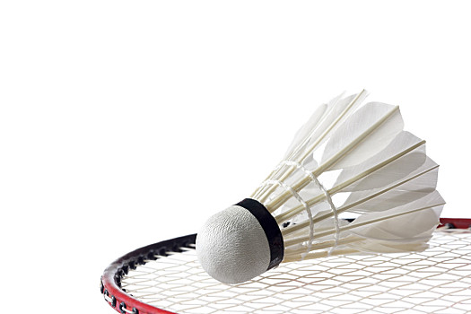 但这一优势 但这一优势